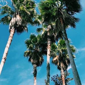 Meet your Posher, Caleigh